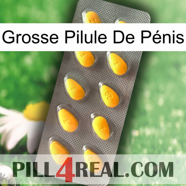 Grosse Pilule De Pénis cialis1
